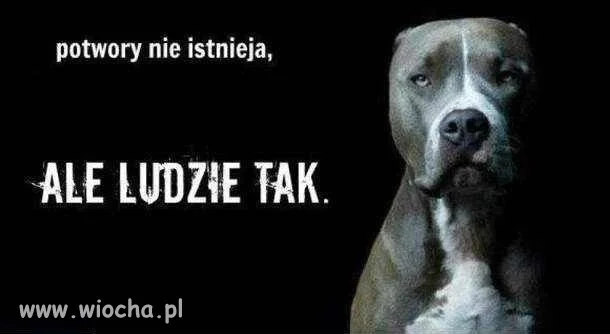 Potwory vs. Ludzie