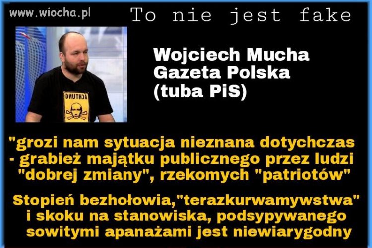 Niektóre muchy już widzą, że wcześniej siedziały 