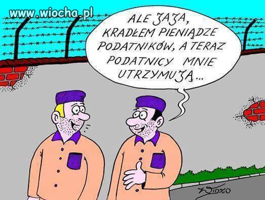 Paradoks Made in Poland