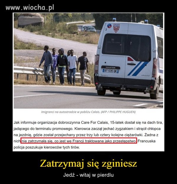 Należy jak najszybciej wysłać wszystkich nielegalnych