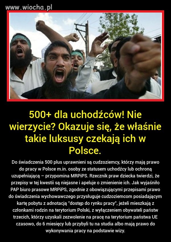 500+ dla uchodźców