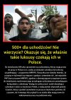 500+ dla uchodźców