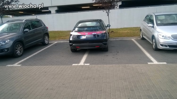 Mistrz parkowania