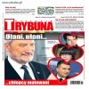 Malowani chłopcy 