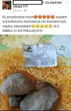 Mamusiu co dzisiaj na obiad?