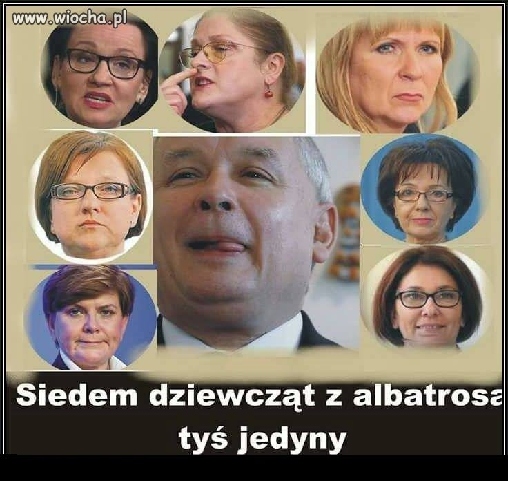 Ślicznotki inaczej