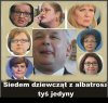 Ślicznotki inaczej