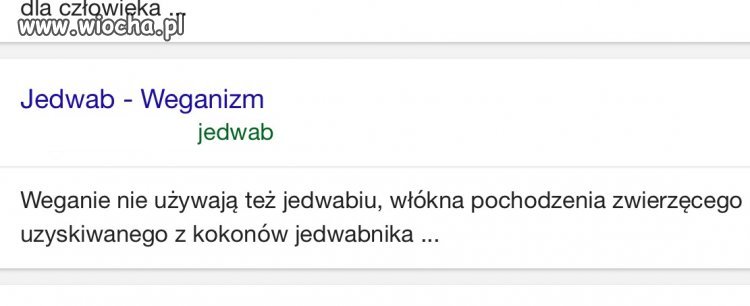 Dziwna ta dieta 