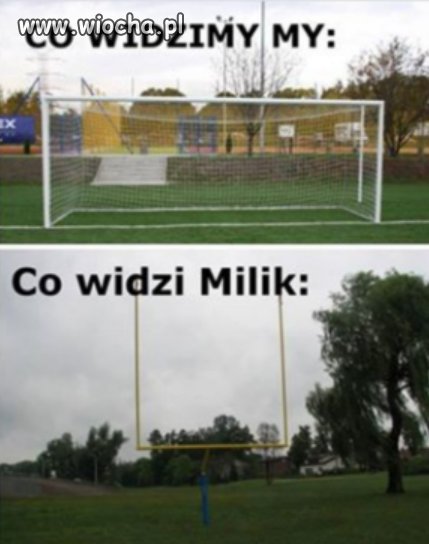 Co widzi milik