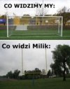 Co widzi milik