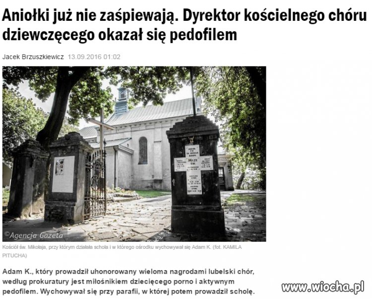 Kolejne ścierwo... 
