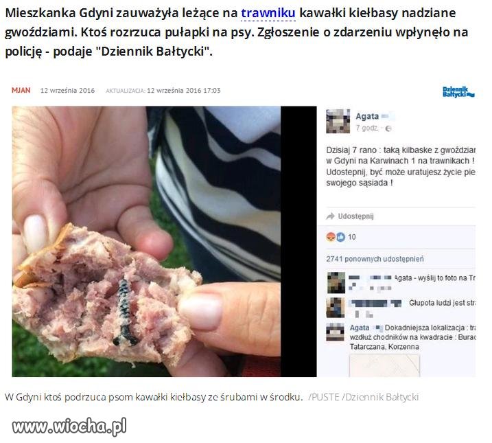 Niektórzy ludzie to całkowici idioci.
