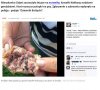 Niektórzy ludzie to całkowici idioci.