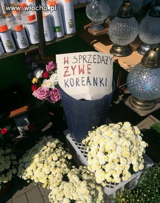 Kupuje 