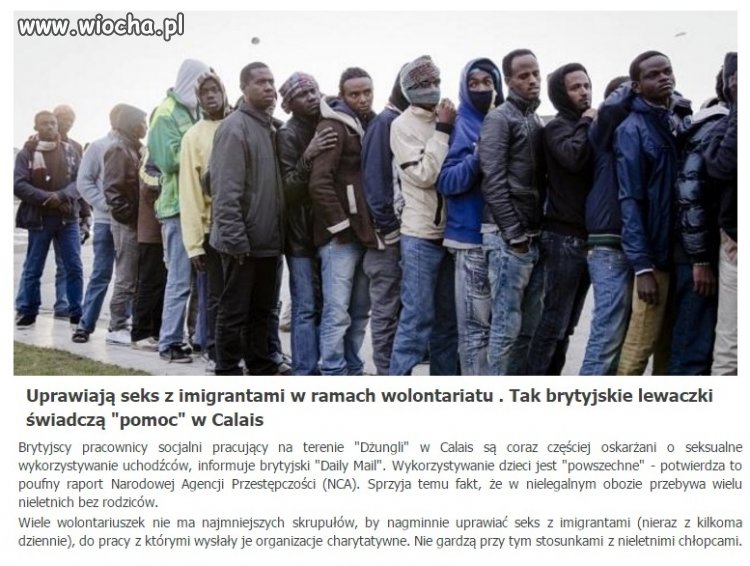 Oblicza wolontariatu  