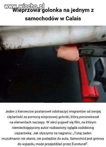 Golonka