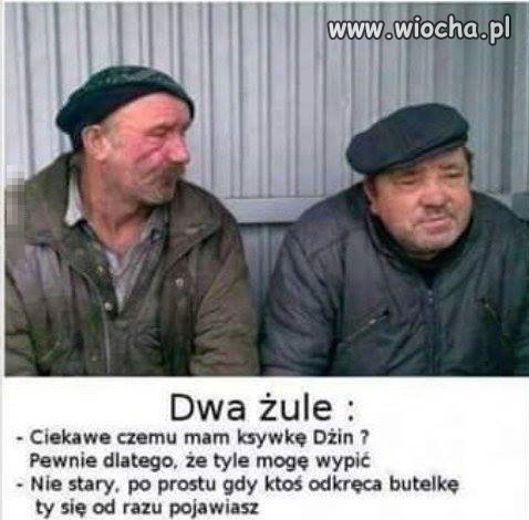 Dwa żule