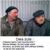 Dwa żule