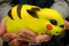  Nowe trendy w zoologii ... ?