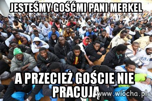 I wszystko w temacie.