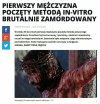 W świetle ostatnich zdarzeń i idąc za tokiem 