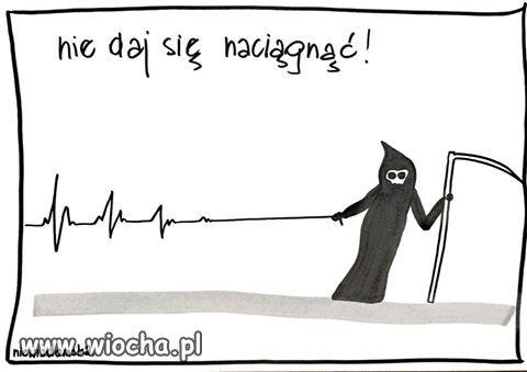 Z przekazem