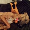 Już mi nie uciekniesz