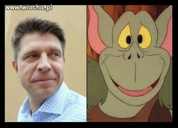 Podobieństwo nie tylko ...