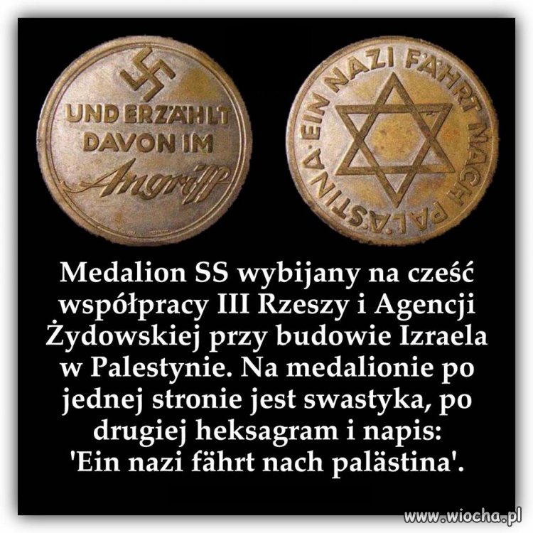 Nie mam żadnych pytań