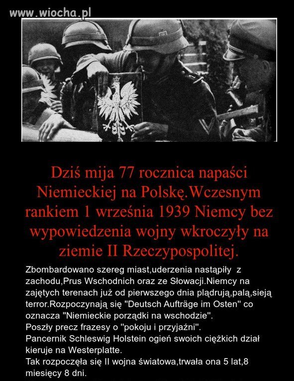Nigdy więcej wojny