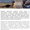 Uchodźcy? 