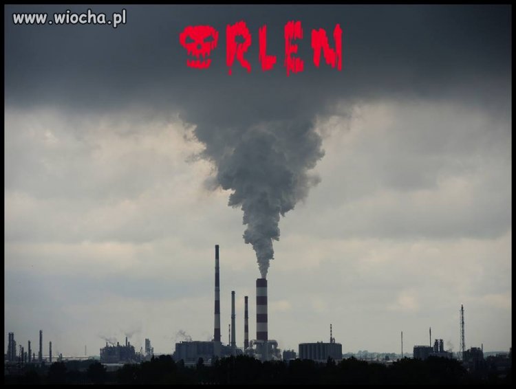 Dla Płocczan 10 gr. rabatu od godziny 18 do 22.