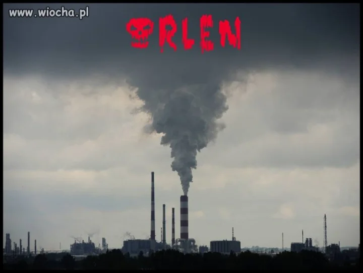 Dla Płocczan 10 gr. rabatu od godziny 18 do 22.