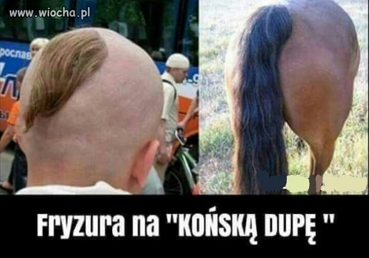 Kolejny samuraj z powołania 