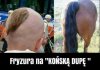 Kolejny samuraj z powołania 