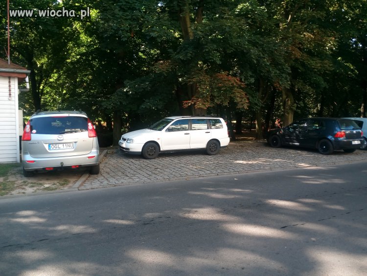 Dwu mistrzów parkowania ,