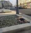 Odrobina zieleni