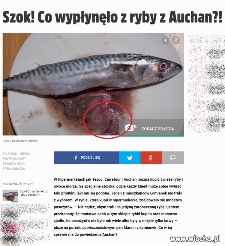 Świeże ryby i owoce morza
