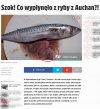 Świeże ryby i owoce morza