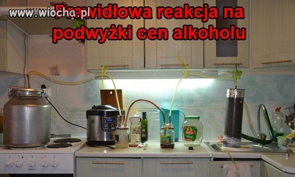 Prawidłowa 