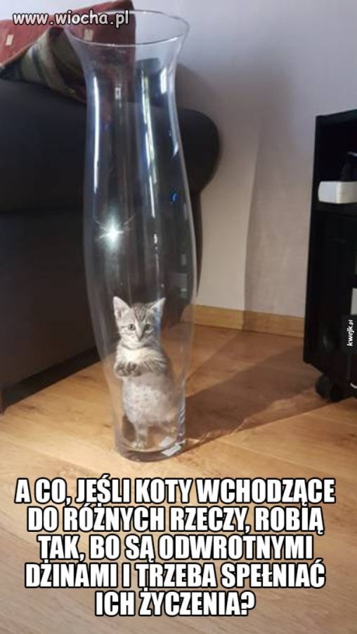 A co jeśli