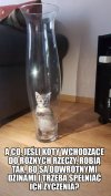 A co jeśli