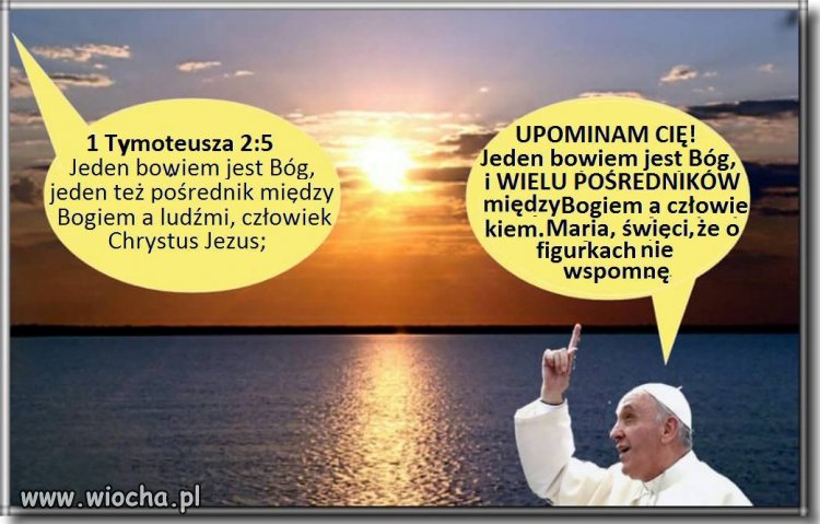 Wiedzą lepiej
