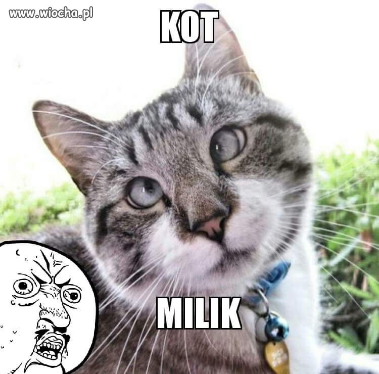 Kot Milik