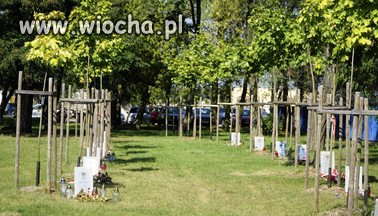 Ku czci lotników z Katynia posadzili dęby pamięci