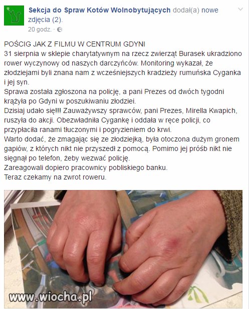 Wstyd i hańba... nie tylko dla cyganów!