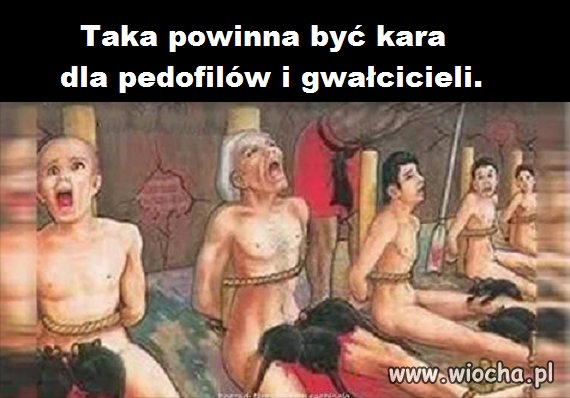 Moim zdaniem ...