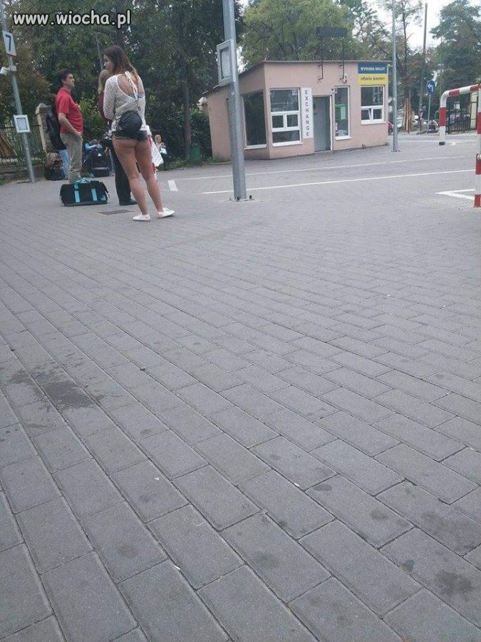 Czekam na autobus