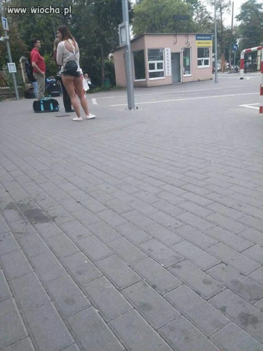 Czekam na autobus