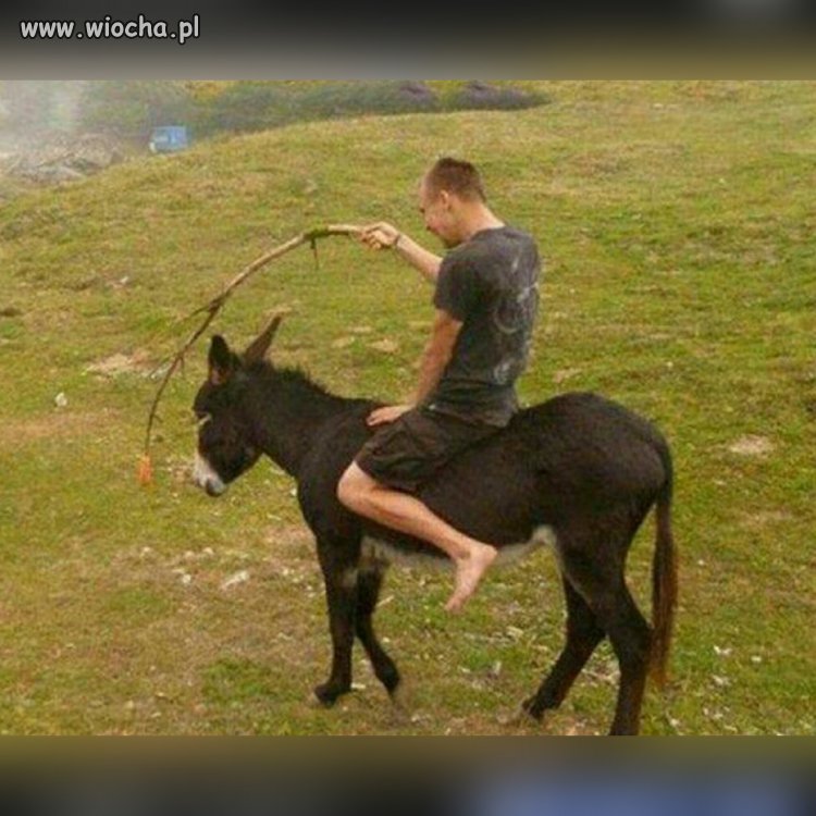 Test na spostrzegawczość.